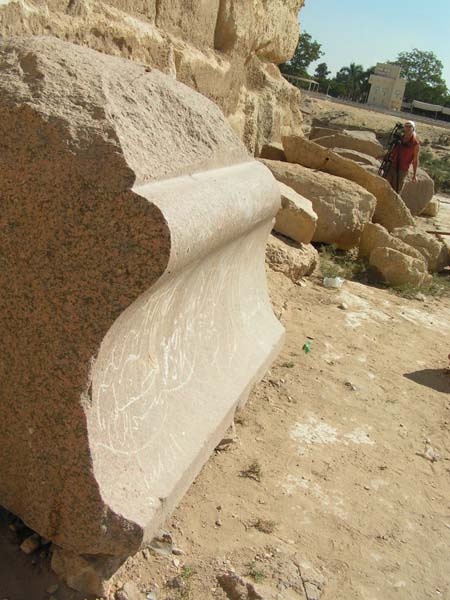 Иллюстрация к книге — Обитаемый остров Земля [i_049.jpg]