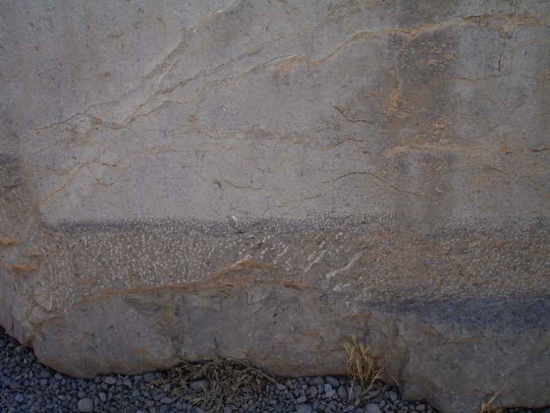 Иллюстрация к книге — Обитаемый остров Земля [i_065.jpg]