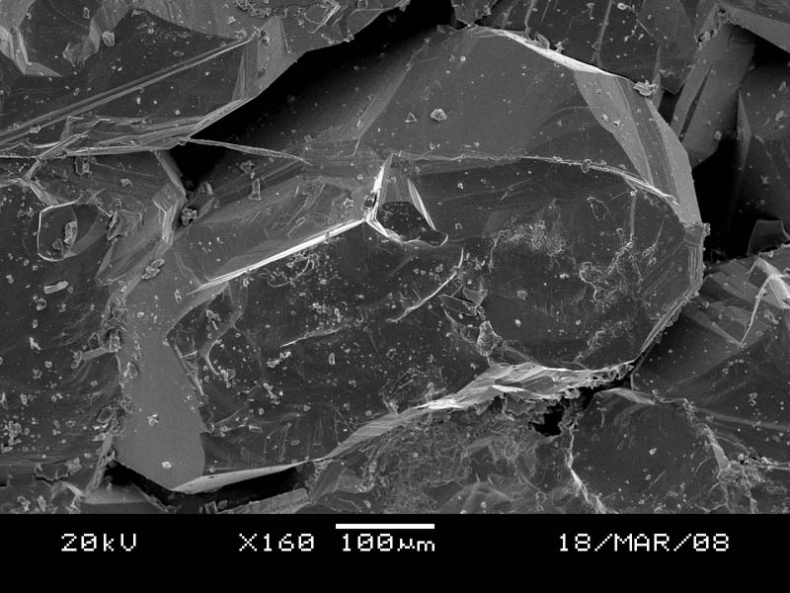 Иллюстрация к книге — Обитаемый остров Земля [i_093.jpg]