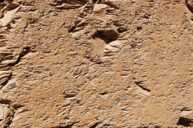 Иллюстрация к книге — Обитаемый остров Земля [i_099.jpg]