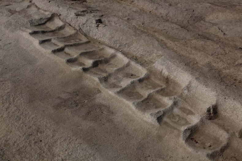 Иллюстрация к книге — Обитаемый остров Земля [i_104.jpg]