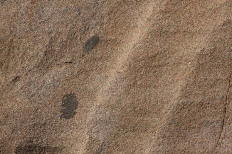 Иллюстрация к книге — Обитаемый остров Земля [i_107.jpg]