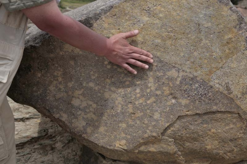 Иллюстрация к книге — Обитаемый остров Земля [i_113.jpg]