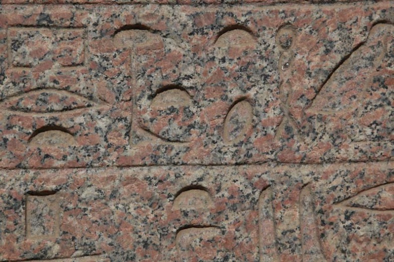 Иллюстрация к книге — Обитаемый остров Земля [i_134.jpg]