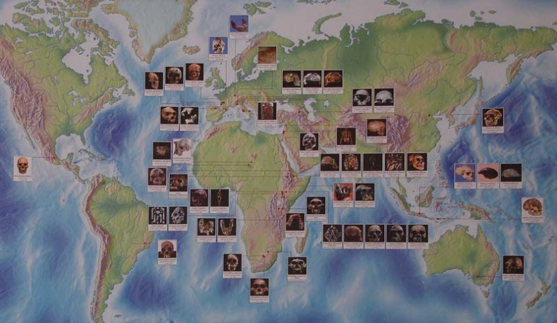 Иллюстрация к книге — Обитаемый остров Земля [i_154.jpg]