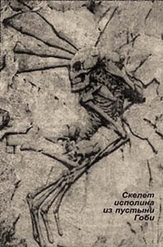 Иллюстрация к книге — Обитаемый остров Земля [i_161.jpg]