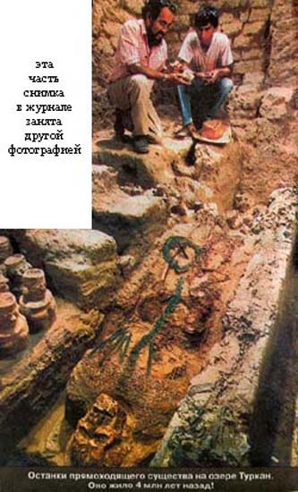 Иллюстрация к книге — Обитаемый остров Земля [i_162.jpg]