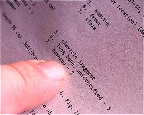 Иллюстрация к книге — Обитаемый остров Земля [i_166.jpg]