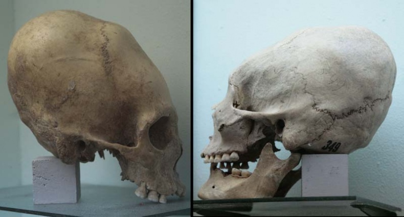 Иллюстрация к книге — Обитаемый остров Земля [i_169.jpg]