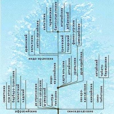 Иллюстрация к книге — Обитаемый остров Земля [i_177.jpg]