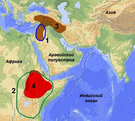 Иллюстрация к книге — Обитаемый остров Земля [i_178.jpg]