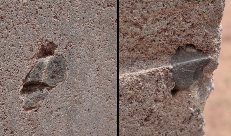 Иллюстрация к книге — Обитаемый остров Земля [i_202.jpg]