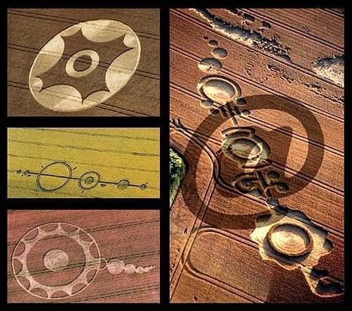 Иллюстрация к книге — Обитаемый остров Земля [i_237.jpg]