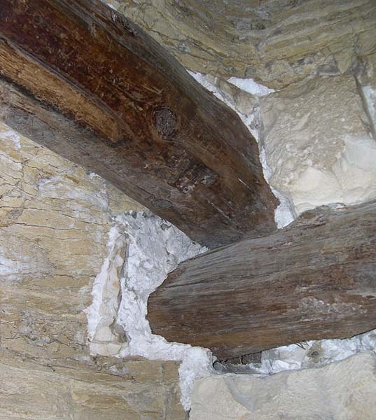 Иллюстрация к книге — Обитаемый остров Земля [i_246.jpg]