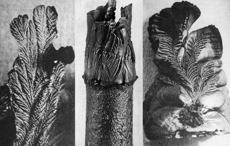 Иллюстрация к книге — Обитаемый остров Земля [i_269.jpg]