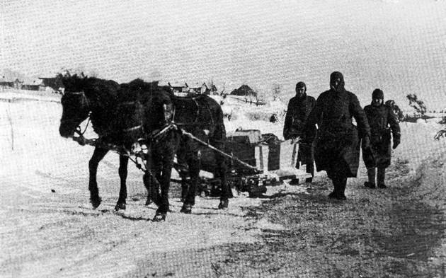 Иллюстрация к книге — Демянское побоище. "Упущенный триумф Сталина" или "пиррова победа Гитлера"? [autogen_ebook_id11.jpg]