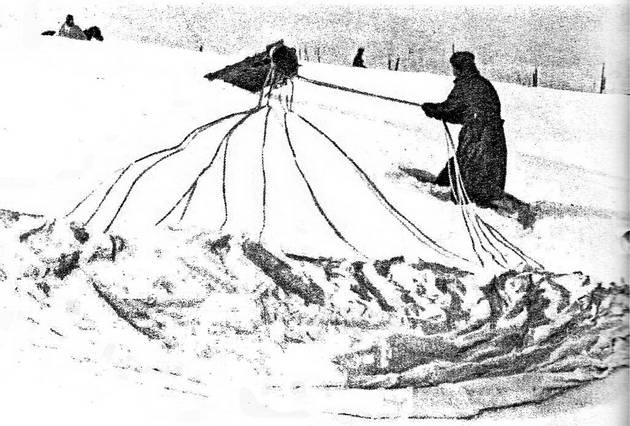 Иллюстрация к книге — Демянское побоище. "Упущенный триумф Сталина" или "пиррова победа Гитлера"? [autogen_ebook_id20.jpg]