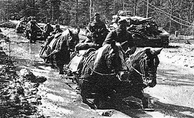 Иллюстрация к книге — Демянское побоище. "Упущенный триумф Сталина" или "пиррова победа Гитлера"? [autogen_ebook_id6.jpg]