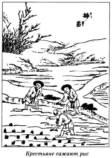 Иллюстрация к книге — Китай. Страницы прошлого [_041.jpg]