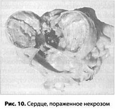 Иллюстрация к книге — Психология стресса [_10.jpg]