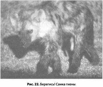 Иллюстрация к книге — Психология стресса [_23.jpg]