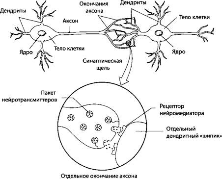 Иллюстрация к книге — Психология стресса [_53.jpg]