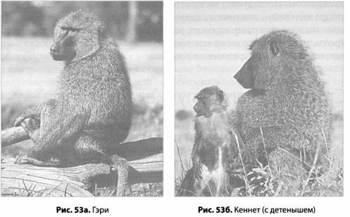 Иллюстрация к книге — Психология стресса [_55.jpg]