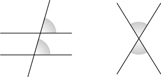 Иллюстрация к книге — Путеводитель для влюблённых в математику [i_206.jpg]