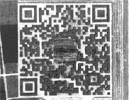 Иллюстрация к книге — Траблшутинг. Как решать нерешаемые задачи, посмотрев на проблему с другой стороны [i_009.jpg]