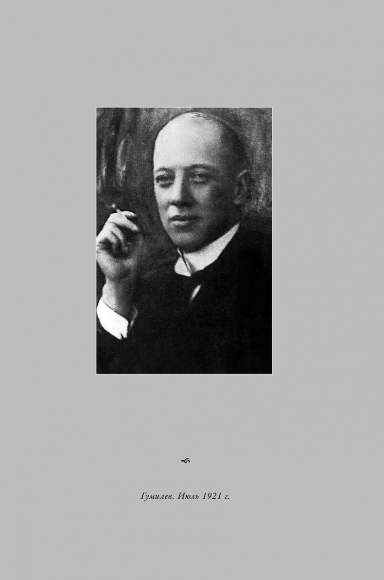 Иллюстрация к книге — Воин и дева. Мир Николая Гумилева и Анны Ахматовой [i_008.jpg]