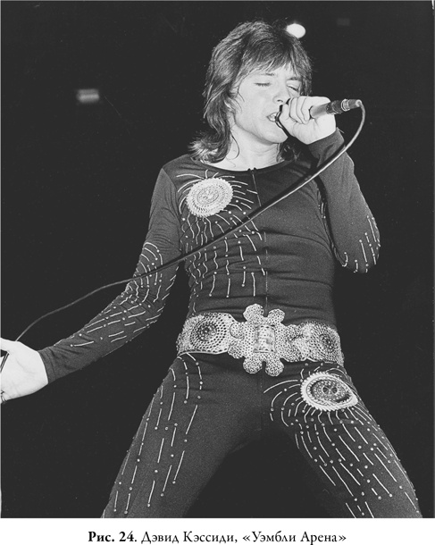 Иллюстрация к книге — Мужчина мечты. Как массовая культура создавала образ идеального мужчины [i_025.jpg]