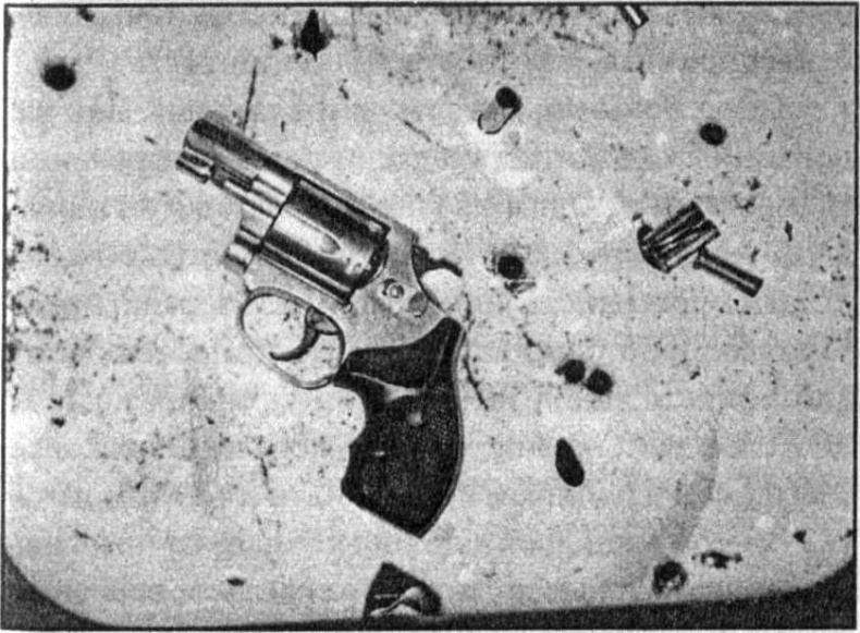 Иллюстрация к книге — Панкшуй [i_007.jpg]