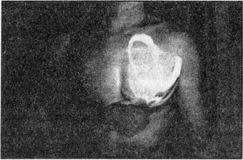 Иллюстрация к книге — Панкшуй [i_008.jpg]