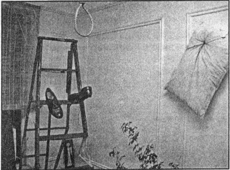 Иллюстрация к книге — Панкшуй [i_016.jpg]