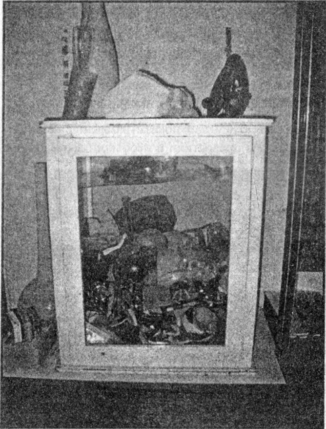 Иллюстрация к книге — Панкшуй [i_035.jpg]