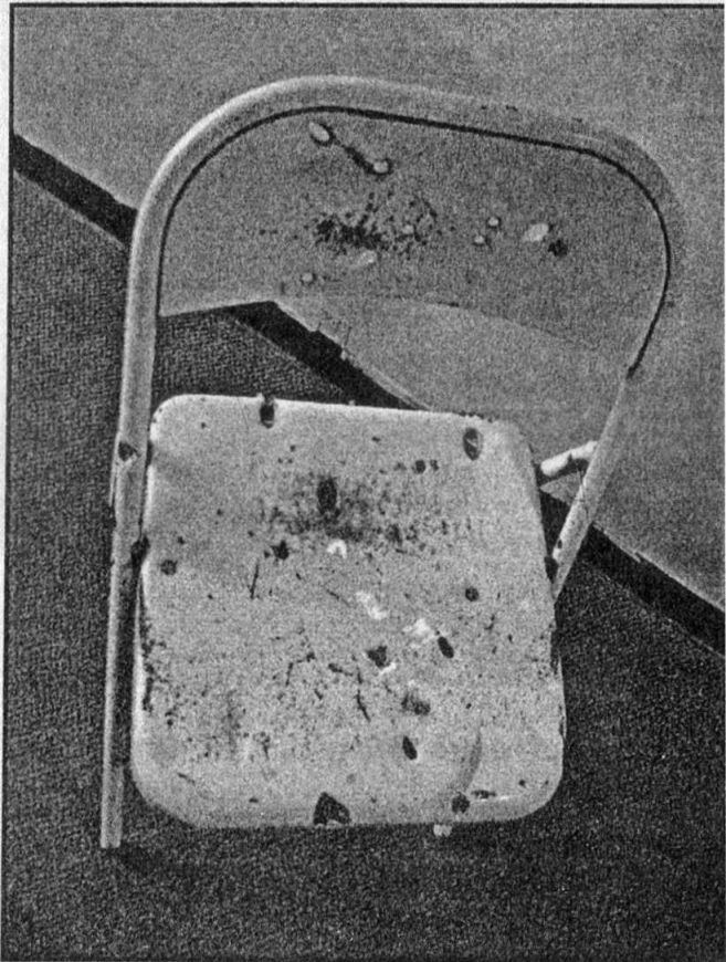 Иллюстрация к книге — Панкшуй [i_037.jpg]