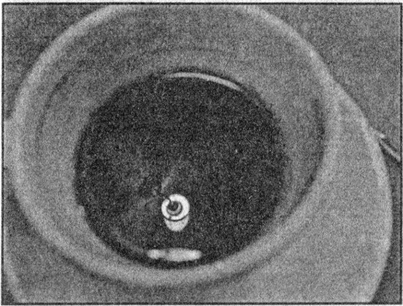 Иллюстрация к книге — Панкшуй [i_044.jpg]