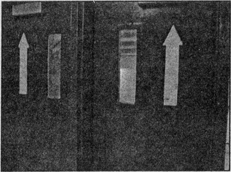 Иллюстрация к книге — Панкшуй [i_056.jpg]