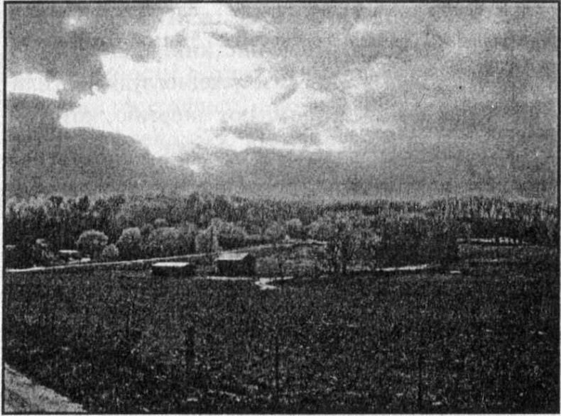 Иллюстрация к книге — Панкшуй [i_083.jpg]