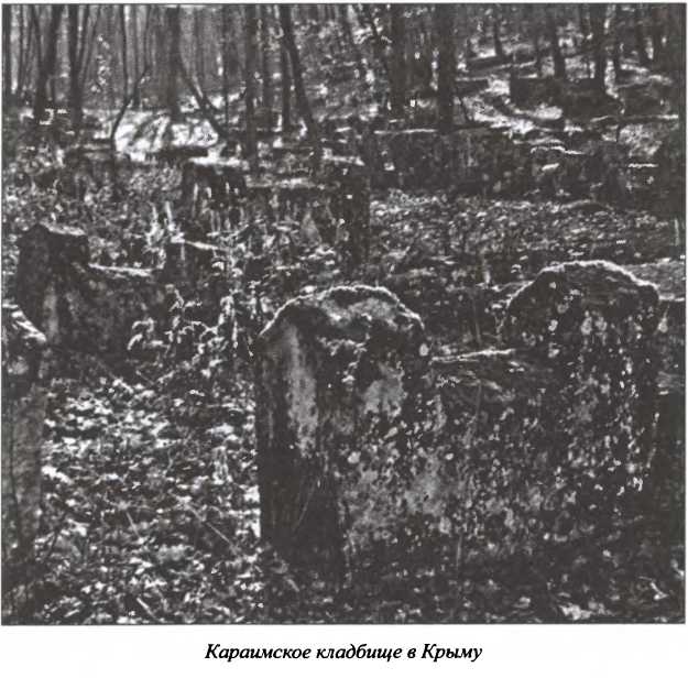 Иллюстрация к книге — Государевы вольнодумцы. Загадка Русского Средневековья [i_011.jpg]