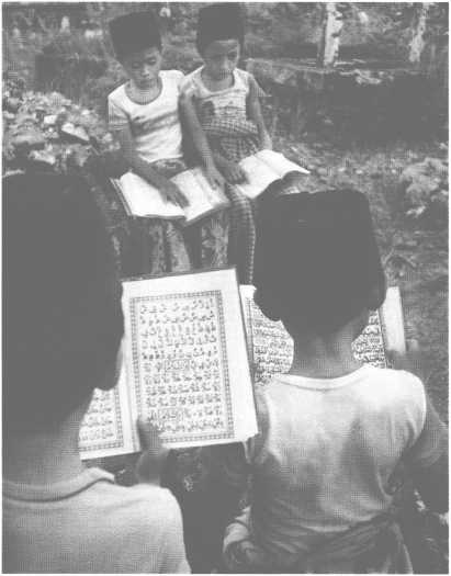 Иллюстрация к книге — Повседневная жизнь паломников в Мекке [i_025.jpg]