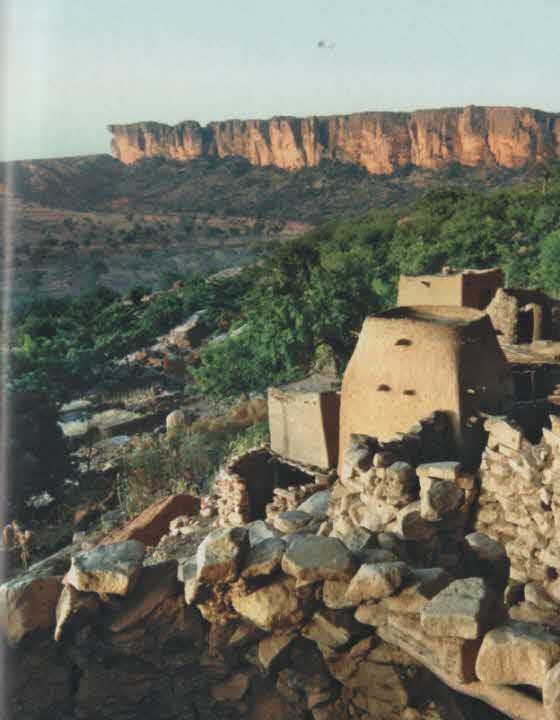 Иллюстрация к книге — Тайные знания догонов об истоках человечества [i_039.jpg]