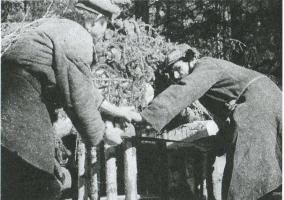 Иллюстрация к книге — Лесные солдаты. Партизанская война на Северо-Западе СССР. 1941-1944 [i_017.jpg]