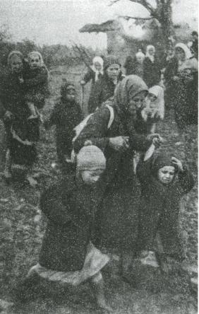 Иллюстрация к книге — Лесные солдаты. Партизанская война на Северо-Западе СССР. 1941-1944 [i_026.jpg]