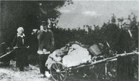 Иллюстрация к книге — Лесные солдаты. Партизанская война на Северо-Западе СССР. 1941-1944 [i_047.jpg]