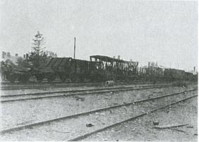 Иллюстрация к книге — Лесные солдаты. Партизанская война на Северо-Западе СССР. 1941-1944 [i_048.jpg]