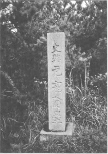 Иллюстрация к книге — Камикадзе. "Божественный ветер" в истории Японии [i_051.jpg]