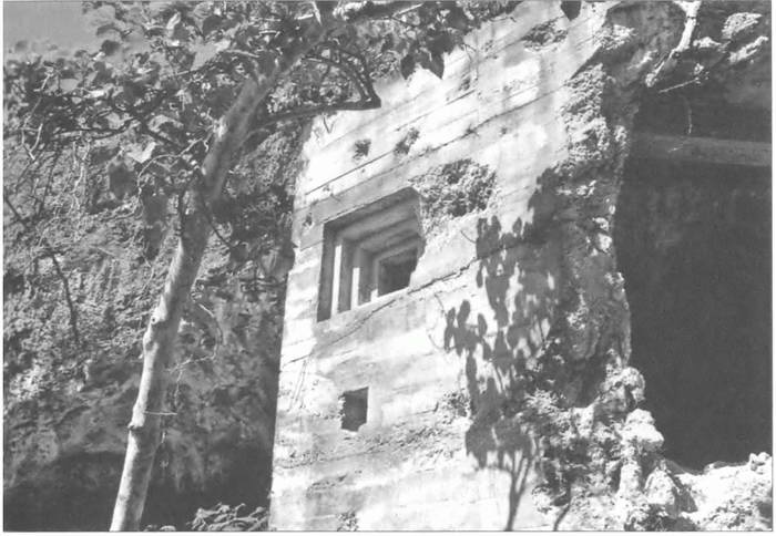 Иллюстрация к книге — Камикадзе. "Божественный ветер" в истории Японии [i_128.jpg]