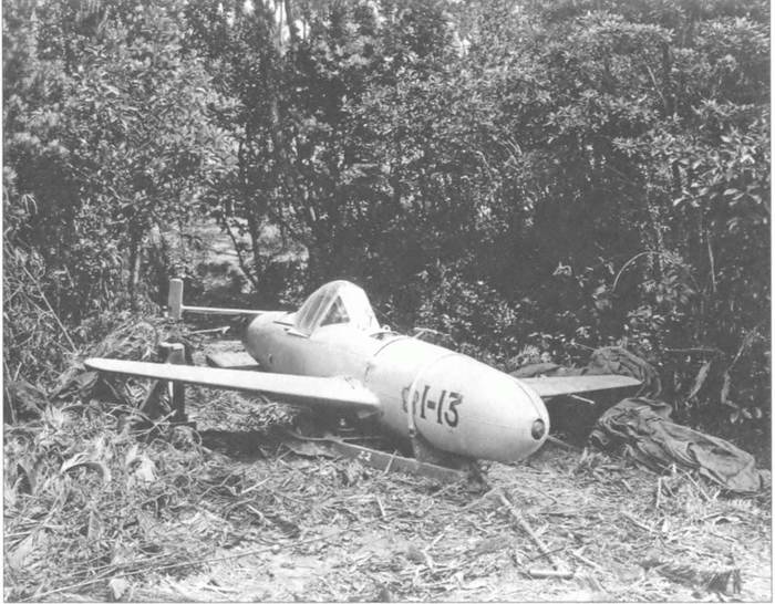 Иллюстрация к книге — Камикадзе. "Божественный ветер" в истории Японии [i_195.jpg]