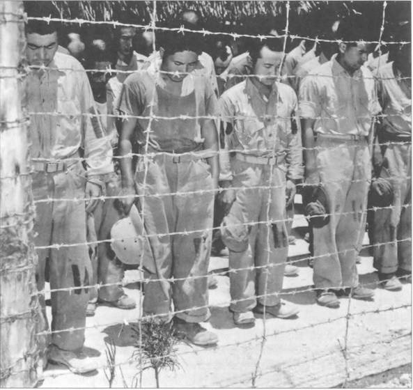 Иллюстрация к книге — Камикадзе. "Божественный ветер" в истории Японии [i_255.jpg]